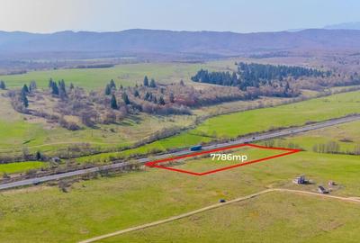 Teren 7786 mp/Cur?i construc?ii/Benzinarie Teren 7786 mp/Cur?i construc?ii/Benzinarie - 3