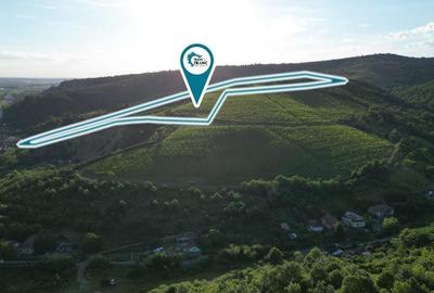 Teren de 6,35 ha, pentru un complex turistic pe dealurile din Paulis - 3