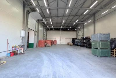 Hala - 572 mp - Zona Freidorf - Comision 0% - 1