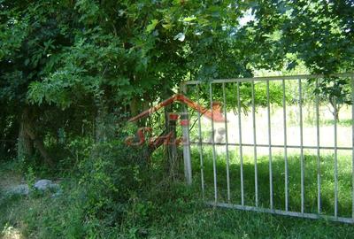 Teren de 1585 mp, în Cornu - 3