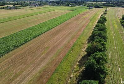 Teren de 11000 mp, în Lăceni - 1