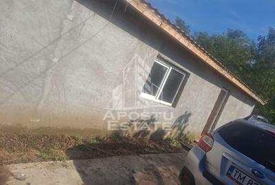 Casa individuala in Cruceni ,la granita cu Serbia - 4