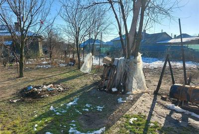 Casă în Fierbinți-Târg - 7