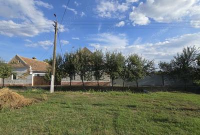 Casă cu 4 camere în Cenad - 9