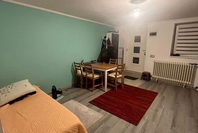 Apartament cu 2 camere semidecomandat în Dosu Bricii - 5