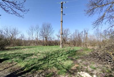 Casă individuală cu 8 camere cu Teren 3800 Mp în Răchitova - 7