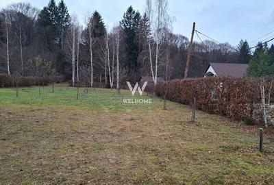 Teren Construcții intravilan de 2000 mp, în Sud-Vest