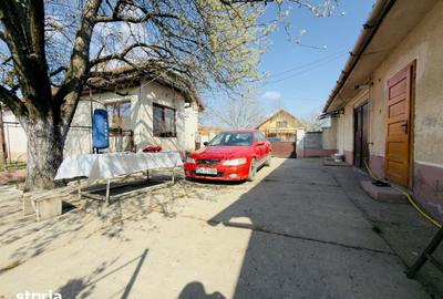 Casă cu 2 camere cu Teren 933 Mp în Sânmihaiu Român - 4