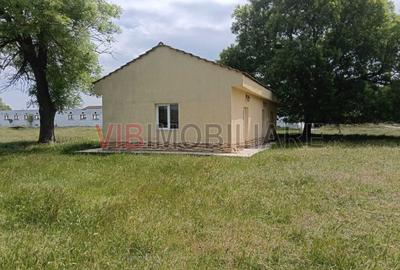 Teren de 301252 mp, în Biled - 10