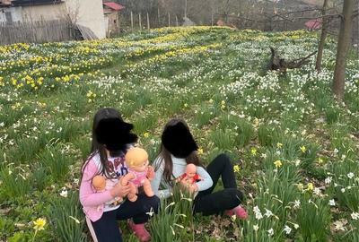 Casă cu 3 camere în Valea Mare - 2