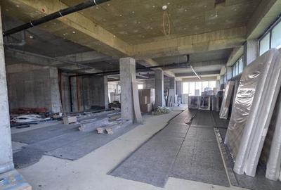 Zona Viilor sp 442 mp open space 10 locuri de parcare - 12