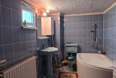 Casă cu 2 camere cu Teren 4368 Mp în Certeju de Sus - 11