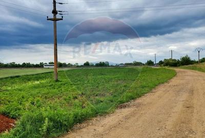Teren agricol extravilan de 6193 mp, în Sud-Est - 6