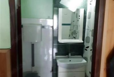 Apartament cu 2 camere decomandat, mobilat în Răcădău - 8