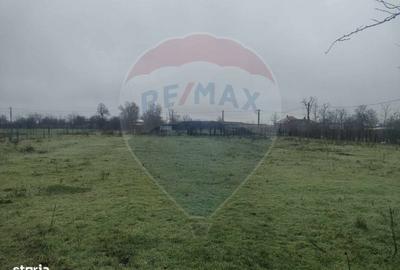 Spațiu comercial, în Cocora - 9