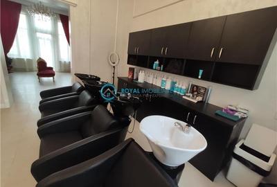 Royal Imobiliare -vanzari vile zona Ultracentral - 14