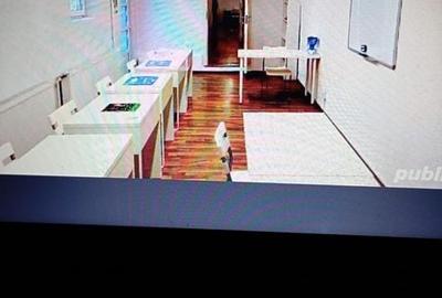 Vila la inchiriere - 9