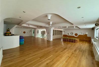 Spațiu comercial, de 553 mp, în Iancu Nicolae - 2