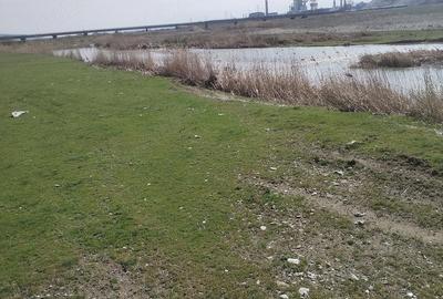 Teren de 5500 mp, în Ruși-Ciutea - 9