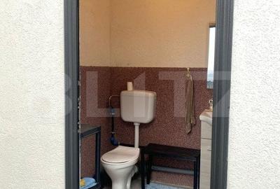 Casa cu piscina mobilata la cheie - 12