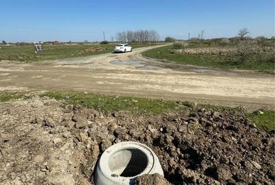 Spațiu comercial, în Moșnița Nouă - 1