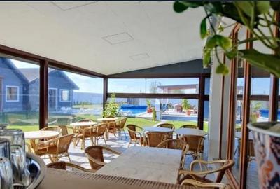 Inchiriere 2 vile de lux la Izvorani, piscina, SPA - 9