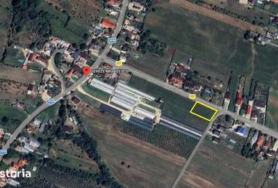 Teren de 1000 mp, în Micești - 3