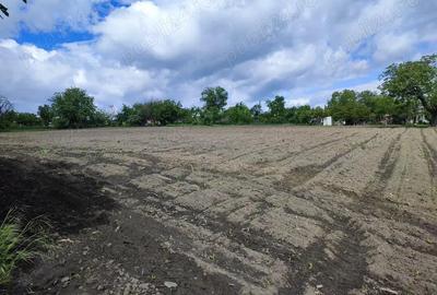 Teren de 1300 mp, în Mănăstirea Doamnei