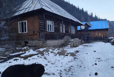 Casă cu Teren 800 Mp în Fundu Moldovei - 3