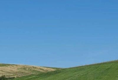 Cota de 1/2 din teren extravilan, comuna Rogova, Jud Mehe... - 3