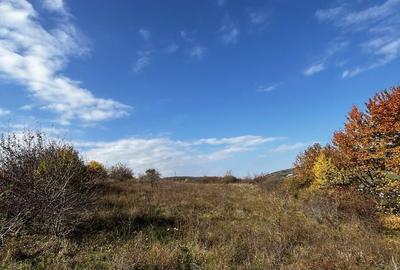 Spațiu comercial, în Baciu - 1