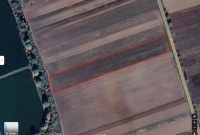 Teren agricol extravilan de 8016 mp, în Nucet - 2