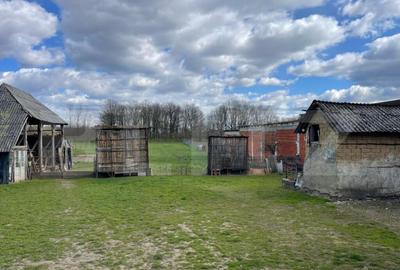Casă cu 3 camere cu Teren 3400 Mp în Central
