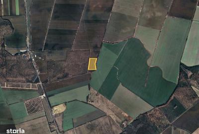 Teren de 25000 mp, în Butimanu - 2