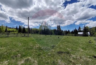 Teren de 2000 mp, în Șaru Dornei - 1