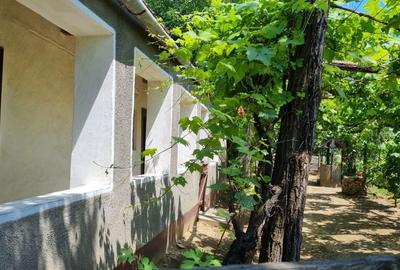 Casă cu 2 camere în Șimian - 7