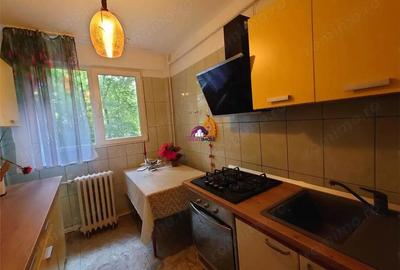 Apartament 2 camere de inchiriat Bd. Basarabia, Sector 3-Marian Apartament 2 camere de inchiriat Bd. Basarabia, Sector 3-Marian - 3