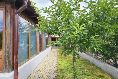COMISION 0% Casa individuala cu piscina in Sacalaz -Unitatea militara - 23