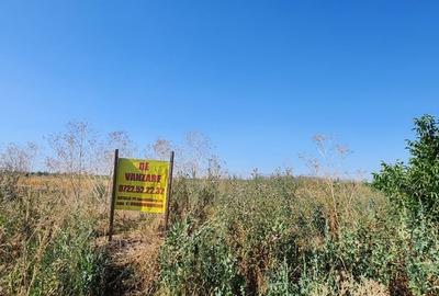 Teren în Berceni - 2