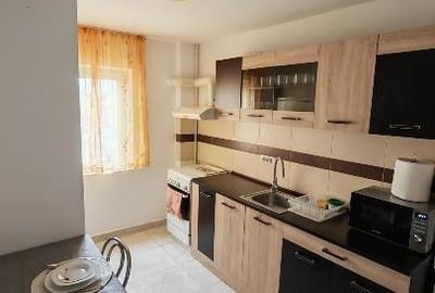 Apartament cu 2 camere semidecomandat, mobilat în Micălaca - 5
