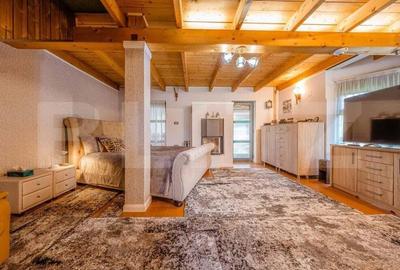 Casa de vacanta pretabila pentru pensiune - 11