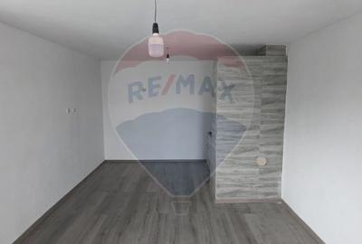 De vanzare casa taranesca Balusesti jud. Neamt - 4