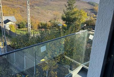 CASA Hlincea Ciurea - 1