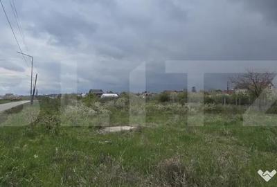 Teren de 5000 mp, în Central