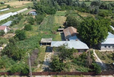 Casă cu 6 camere cu Teren 1950 Mp în Crivăț - 2