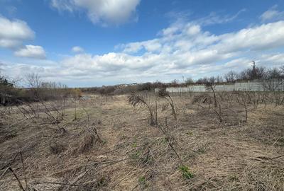 Teren Construcții intravilan de 2700 mp, în Căciulați - 5