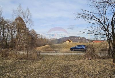 Teren Plaiu_Provita de Sus- intravilan 5373 mp_deschidere... - 5