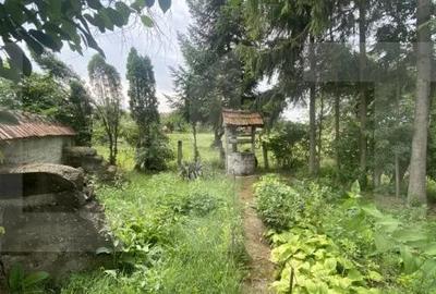 Casa tradi?ionala cu teren generos Belin Casa tradi?ionala cu teren generos Belin - 4