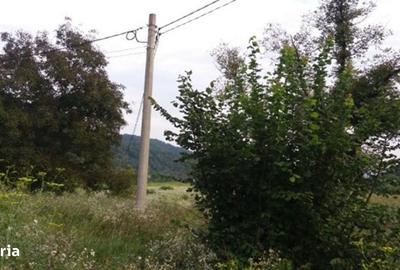 Teren de 5735 mp, în Ribița - 5