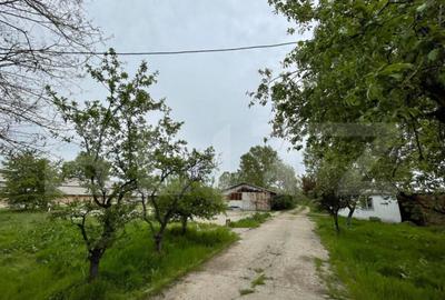 Oportunitate! Teren intravilan 3 hectare, Bals - 5